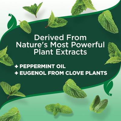 Show full view: Vet's Best Flea + Tick Natural Spray for Dogs, 8-fl oz bottle slide 5 of 12