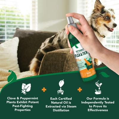 Show full view: Vet's Best Flea + Tick Natural Spray for Dogs, 8-fl oz bottle slide 9 of 12