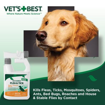 Show full view: Vet's Best Flea & Tick Yard & Kennel Spray for Dogs, 32-fl oz bottle slide 8 of 11