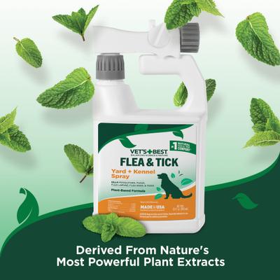 Show full view: Vet's Best Flea & Tick Yard & Kennel Spray for Dogs, 32-fl oz bottle slide 6 of 11