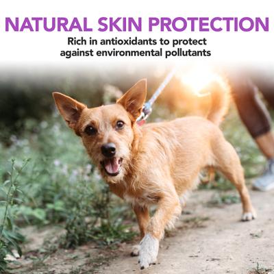 Show full view: Vet's Best Healthy Skin & Coat Protection Brewer's Yeast & Garlic Flavored Chews Dog Supplement, 60 count slide 5 of 7