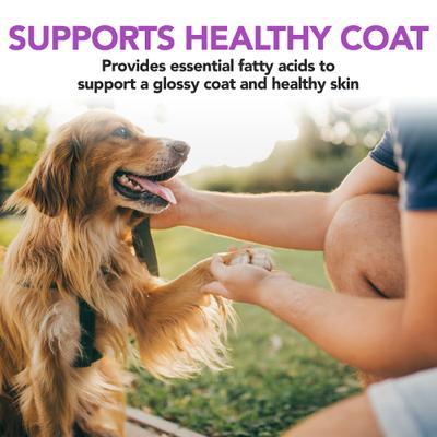 Show full view: Vet's Best Healthy Skin & Coat Protection Brewer's Yeast & Garlic Flavored Chews Dog Supplement, 60 count slide 6 of 7