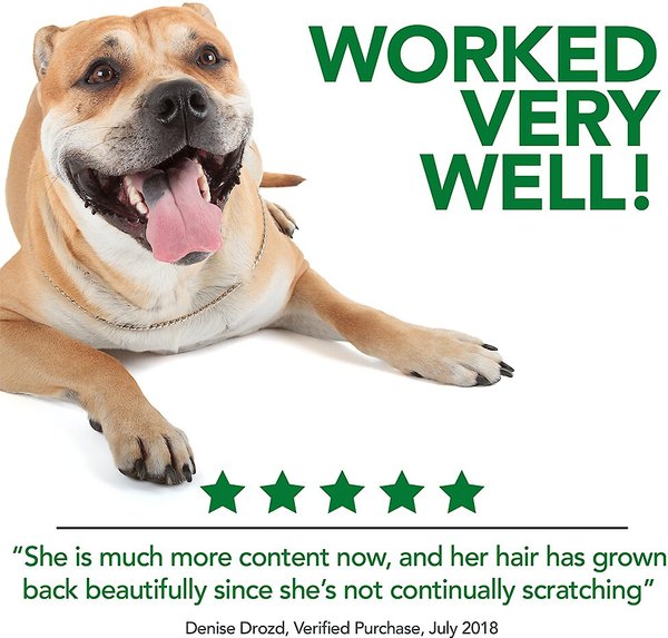 Show full view: Vet's Best Hot Spot Spray for Dogs, 16-fl oz bottle slide 5 of 9
