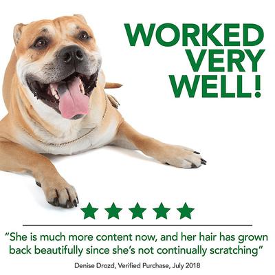 Show full view: Vet's Best Hot Spot Spray for Dogs, 16-fl oz bottle slide 6 of 10