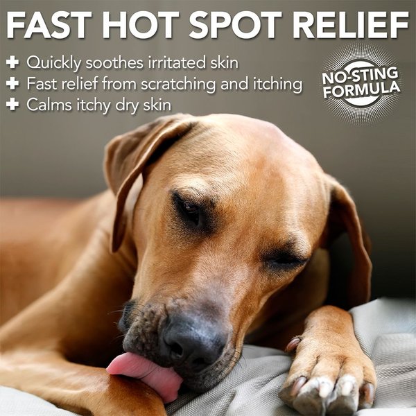 Show full view: Vet's Best Hot Spot Spray for Dogs, 16-fl oz bottle slide 3 of 9