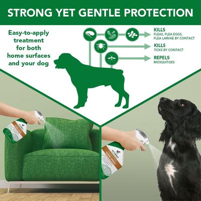 Show full view: Vet's Best Indoor Flea & Tick Home Spray + Advanced Strength Flea & Tick Dog Shampoo, 12-fl oz bottle slide 4 of 10