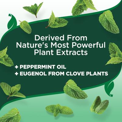 Show full view: Vet's Best Indoor Flea & Tick Home Spray Natural Refill for Dogs, 32-fl oz bottle slide 5 of 12