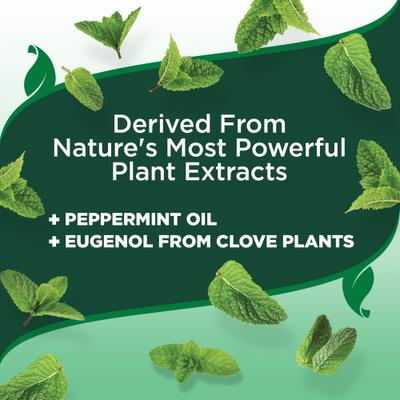 Show full view: Vet's Best Indoor Flea & Tick Home Spray Natural Refill for Dogs, 96-fl oz bottle slide 5 of 12