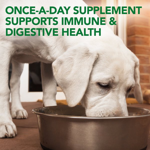 Show full view: Vet's Best Probiotic Chicken Flavored Soft Chews Digestive Supplement for Dogs, 30 count slide 3 of 11