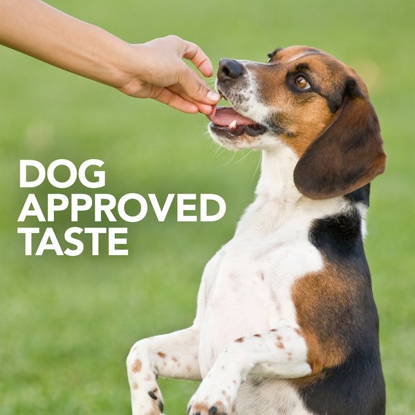 Show full view: Vet's Best Probiotic Chicken Flavored Soft Chews Digestive Supplement for Dogs, 30 count slide 7 of 11