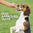 Show in main carousel: Vet's Best Probiotic Chicken Flavored Soft Chews Digestive Supplement for Dogs, 30 count slide 7 of 11