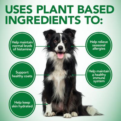 Show full view: Vet's Best Shed+Itch Healthy Coat Chewable Tablets Skin & Coat Supplement for Dogs, 50 count slide 5 of 12