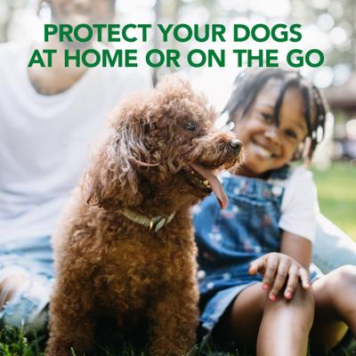 Show full view: Vet's Best Tick Killing Natural Tick Treatment Dog Spray, 1-fl oz bottle slide 5 of 9