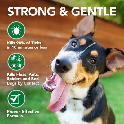 Show full view: Vet's Best Tick Killing Natural Tick Treatment Dog Spray, 1-fl oz bottle slide 6 of 9