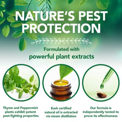 Show full view: Vet's Best Tick Killing Natural Tick Treatment Dog Spray, 1-fl oz bottle slide 7 of 9