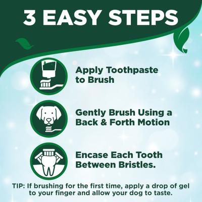 Show full view: Vet's Best Toothbrush & Toothpaste Dental Kit, 3.5-oz tube, Adult slide 9 of 13