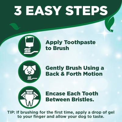Show full view: Vet's Best Toothbrush & Toothpaste Dental Kit, 3.5-oz tube, Puppy slide 9 of 13