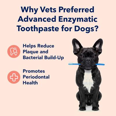 Show full view: Vets Preferred Advanced Enzymatic Peanut Butter Flavor Dog Toothpaste, 3-oz bottle slide 4 of 10