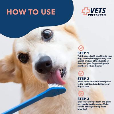 Show full view: Vets Preferred Advanced Enzymatic Peanut Butter Flavor Dog Toothpaste, 3-oz bottle slide 9 of 10