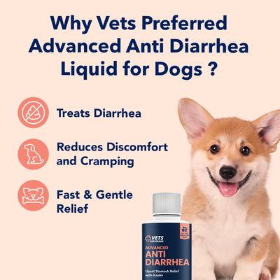 Show full view: Vets Preferred Advanced Medication for Diarrhea for Dogs, 8-fl oz bottle slide 5 of 10