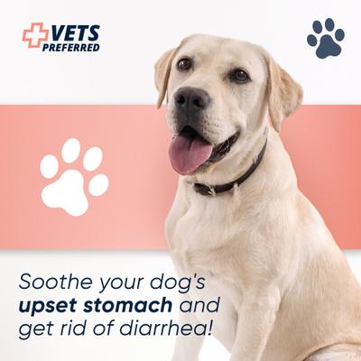 Show full view: Vets Preferred Advanced Medication for Diarrhea for Dogs, 8-fl oz bottle slide 9 of 10