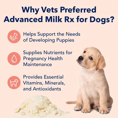 Show full view: Vets Preferred Advanced Milk Rx Dog Supplement, 12-oz jar slide 9 of 10