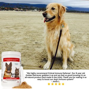 VetSmart Formulas Critical Immune Defense Mushroom & Turmeric Compound Dog & Cat Supplement, 6.3-oz bottle, 1 count