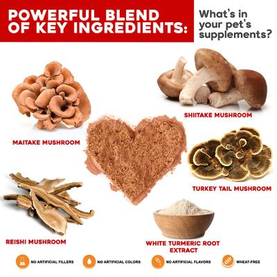 Show full view: VetSmart Formulas Critical Immune Defense Mushroom & Turmeric Compound Dog & Cat Supplement, 6.3-oz bottle, 3 count slide 4 of 12