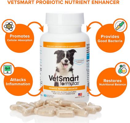 Show full view: VetSmart Formulas Probiotic Nutrient Enhancer Dog Supplement, 60 count slide 3 of 13