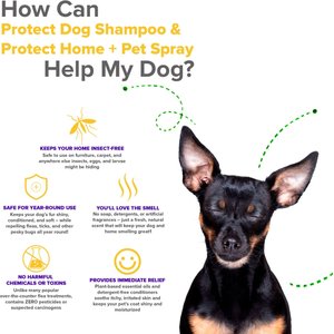 VetSmart Formulas Protect Dog Shampoo, 8-oz bottle, 3 count