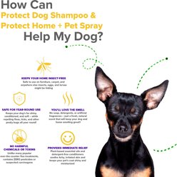 VetSmart Formulas Protect Dog Shampoo & Home + Dog Spray, 8-oz bottle, 2 count slide 2 of 7