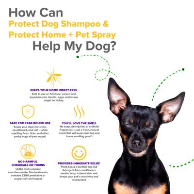 Show full view: VetSmart Formulas Protect Dog Shampoo & Home + Dog Spray, 8-oz bottle, 2 count slide 2 of 9