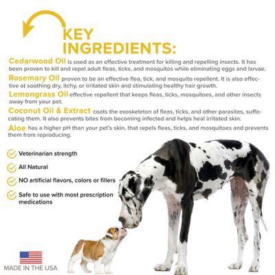 Show full view: VetSmart Formulas Protect Dog Shampoo & Home + Dog Spray, 8-oz bottle, 2 count slide 6 of 9