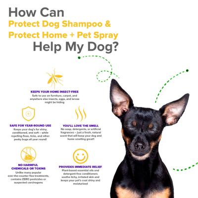 Show full view: VetSmart Formulas Protect Home & Dog Spray, 8-oz bottle, 3 count slide 3 of 9