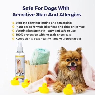 Show full view: VetSmart Formulas Protect Home & Dog Spray, 8-oz bottle, 3 count slide 7 of 9