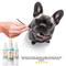 Show in main carousel: VetSmart Formulas Total Oral Care Dog & Cat Dental Spray, 4-oz bottle, 1 count slide 9 of 13