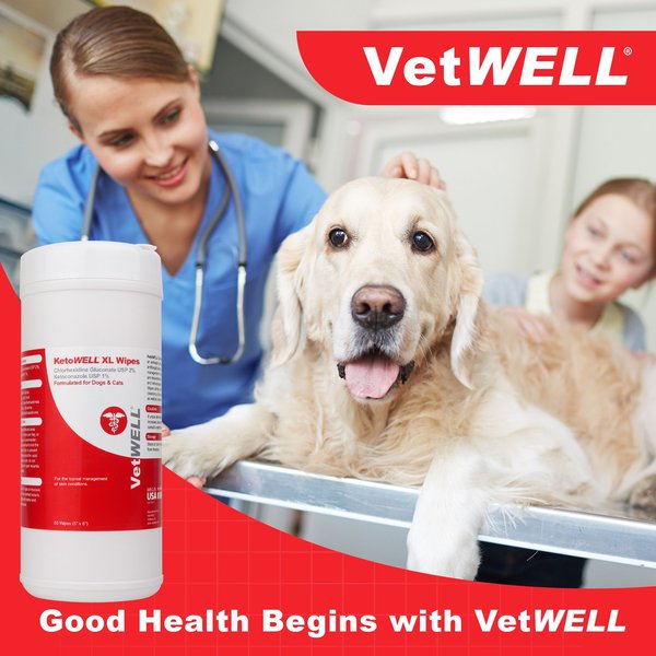 VetWELL Chlorhexidine Medicated Dog & Cat Wipes, 60 count