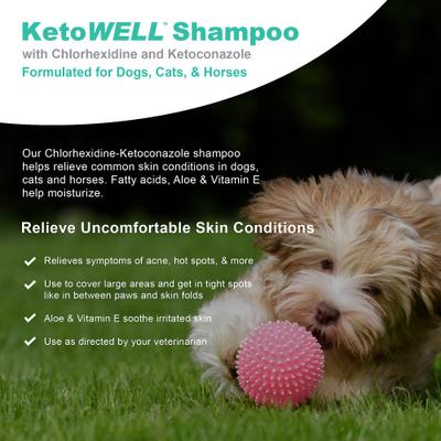 Show full view: VetWELL Ketoconazole Chlorhexidine Skin Infections, Growths, Abrasions, Acne, & Hot Spots Oatmeal & Aloe Mint Scent Medicated Dog & Cat Shampoo, 12-fl oz slide 4 of 6