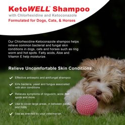 VetWELL KetoWell Antiseptic Dog, Cat & Horse Shampoo, 16-fl oz bottle slide 2 of 5
