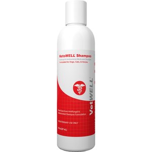 VetWELL KetoWell Antiseptic Dog, Cat & Horse Shampoo, 8-fl oz bottle