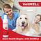 Show in main carousel: VetWELL KetoWell Antiseptic Dog, Cat & Horse Shampoo, 8-fl oz bottle slide 4 of 6