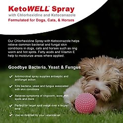 VetWELL KetoWell Antiseptic Dog, Cat & Horse Spray, 8-oz bottle slide 2 of 5