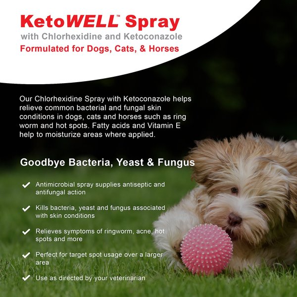 Show full view: VetWELL KetoWell Antiseptic Dog, Cat & Horse Spray, 8-oz bottle slide 2 of 5