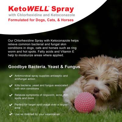 Show full view: VetWELL KetoWell Antiseptic Dog, Cat & Horse Spray, 8-oz bottle slide 3 of 6