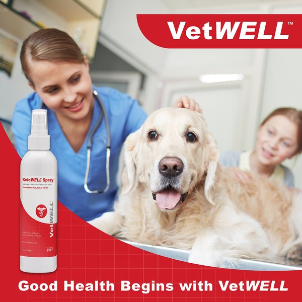 Show full view: VetWELL KetoWell Antiseptic Dog, Cat & Horse Spray, 8-oz bottle slide 4 of 5