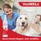 Show in main carousel: VetWELL KetoWell Antiseptic Dog, Cat & Horse Spray, 8-oz bottle slide 5 of 6