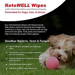 VetWELL KetoWell Antiseptic Dog, Cat & Horse Wipes, 50 count slide 2 of 5