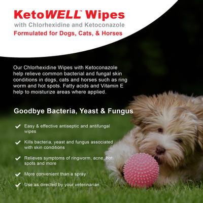 Show full view: VetWELL KetoWell Antiseptic Dog, Cat & Horse Wipes, 50 count slide 3 of 7