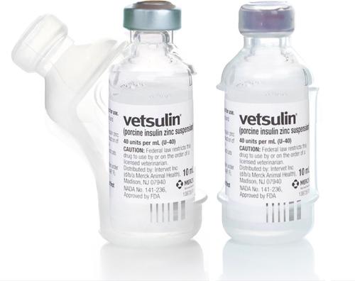 Show full view: Vial Safe For Pets Insulin Vial Protector for Vetsulin, Clear, 2 Pack slide 1 of 5