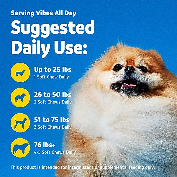 Show full view: Vibeful 10-in-1 Multivitamin Bites Peanut Butter Flavored Soft Chews Supplement for Dogs, 14 count slide 5 of 8